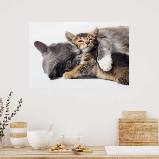 Niedliche Kleintiere | Niedlich Kitten Hug Poster (Küche)