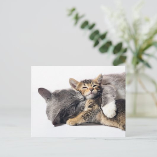 Niedliche Kleintiere | Niedlich Kitten Hug Postkarte (Stehend Vorderseite)