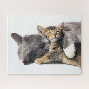 Niedliche Kleintiere Niedlich Kitten Hug Puzzle
