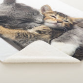 Niedliche Kleintiere | Niedlich Kitten Hug Sherpadecke (3/4)