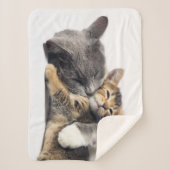 Niedliche Kleintiere | Niedlich Kitten Hug Sherpadecke (Vorderseite)