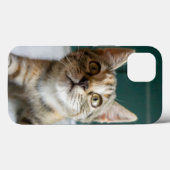 Niedliche Kleintiere | Niedlich Tabby Kitten Case-Mate iPhone Hülle (Rückseite (Horizontal))