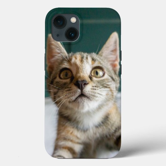 Niedliche Kleintiere | Niedlich Tabby Kitten Case-Mate iPhone Hülle (Rückseite)