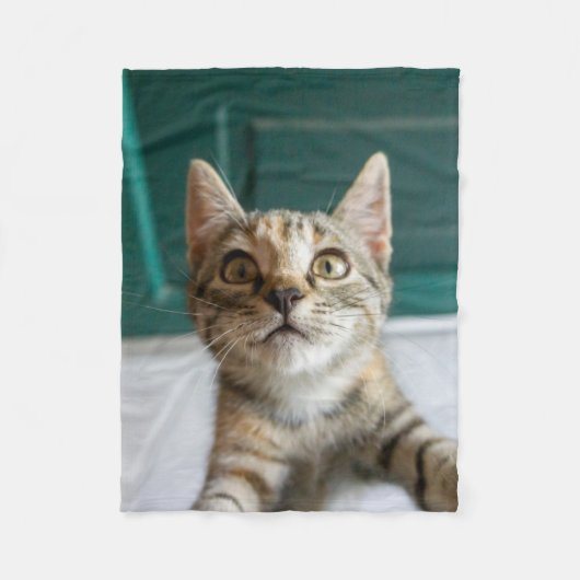Niedliche Kleintiere | Niedlich Tabby Kitten Fleecedecke (Vorderseite)