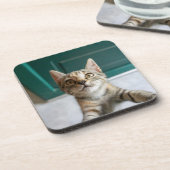 Niedliche Kleintiere | Niedlich Tabby Kitten Getränkeuntersetzer (Linke Seite)