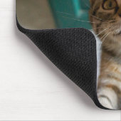 Niedliche Kleintiere | Niedlich Tabby Kitten Mousepad (Ecke)