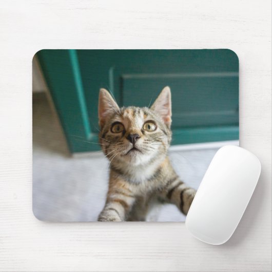 Niedliche Kleintiere | Niedlich Tabby Kitten Mousepad (Mit Mouse)
