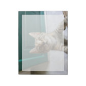 Niedliche Kleintiere | Niedlich Tabby Kitten Notizblock (Rotiert)