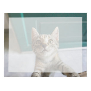 Niedliche Kleintiere Niedlich Tabby Kitten Notizblock