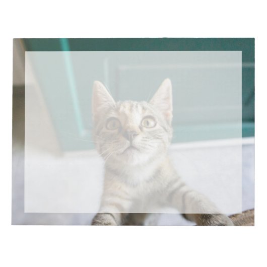 Niedliche Kleintiere | Niedlich Tabby Kitten Notizblock (Vorderseite)