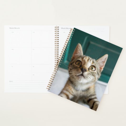 Niedliche Kleintiere | Niedlich Tabby Kitten Planer (Anzeige)