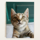 Niedliche Kleintiere | Niedlich Tabby Kitten Planer (Vorderseite)