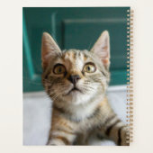 Niedliche Kleintiere | Niedlich Tabby Kitten Planer (Rückseite)