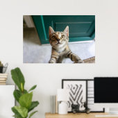 Niedliche Kleintiere | Niedlich Tabby Kitten Poster (Heimbüro)