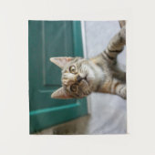 Niedliche Kleintiere | Niedlich Tabby Kitten Wandteppich (Vorderseite)