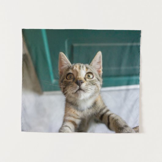 Niedliche Kleintiere | Niedlich Tabby Kitten Wandteppich (Vorderseite (Horizontal))