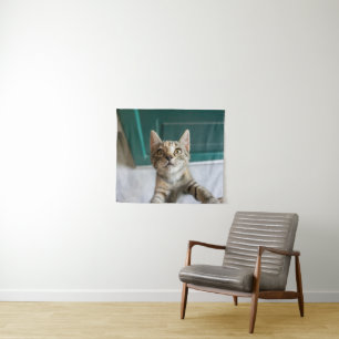 Niedliche Kleintiere Niedlich Tabby Kitten Wandteppich