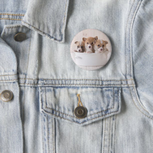 Niedliche Kleintiere   Niedliche Corgi Welpen in e Button