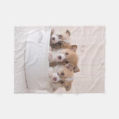 Niedliche Kleintiere | Niedliche Corgi Welpen in e Fleecedecke (Vorderseite (Horizontal))