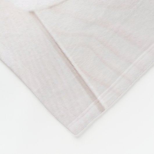 Niedliche Kleintiere | Niedliche Corgi Welpen in e Fleecedecke (Ecke)