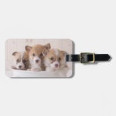 Niedliche Kleintiere | Niedliche Corgi Welpen in e Gepäckanhänger (Vorderseite horizontal)