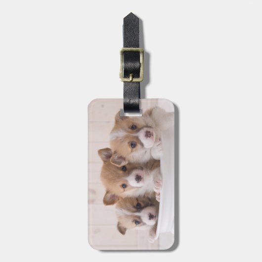Niedliche Kleintiere | Niedliche Corgi Welpen in e Gepäckanhänger (Vorderseite vertikal)