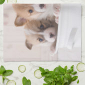 Niedliche Kleintiere | Niedliche Corgi Welpen in e Geschirrtuch (Gefaltet)