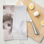 Niedliche Kleintiere | Niedliche Corgi Welpen in e Geschirrtuch (Viertel Falte)