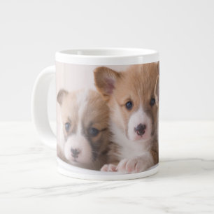 Niedliche Kleintiere Niedliche Corgi Welpen in e Jumbo-Tasse