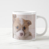 Niedliche Kleintiere | Niedliche Corgi Welpen in e Jumbo-Tasse (Rechts)