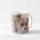 Niedliche Kleintiere | Niedliche Corgi Welpen in e Kaffeetasse (VorderseiteRechts)