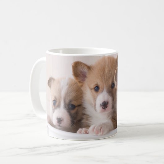 Niedliche Kleintiere | Niedliche Corgi Welpen in e Kaffeetasse (Vorderseite Links)