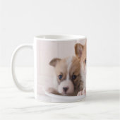 Niedliche Kleintiere | Niedliche Corgi Welpen in e Kaffeetasse (Links)