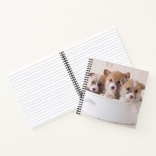 Niedliche Kleintiere | Niedliche Corgi Welpen in e Notizblock (Innenseite)