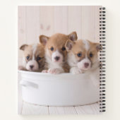 Niedliche Kleintiere | Niedliche Corgi Welpen in e Notizblock (Rückseite)
