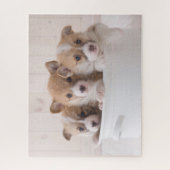 Niedliche Kleintiere | Niedliche Corgi Welpen in e Puzzle (Vertikal)