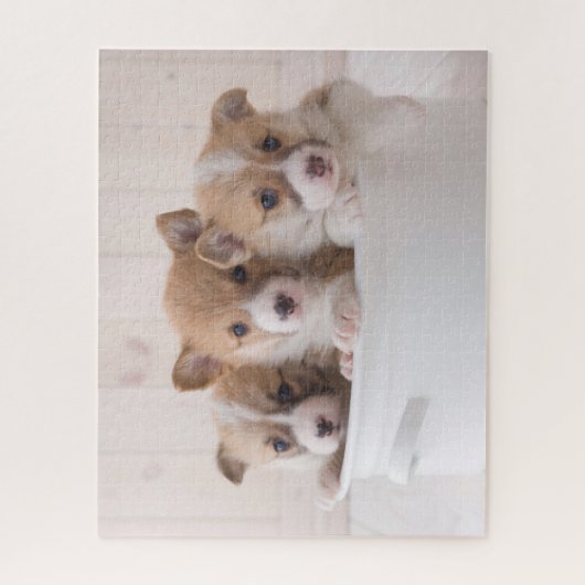 Niedliche Kleintiere | Niedliche Corgi Welpen in e Puzzle (Vertikal)