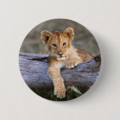 Niedliche Kleintiere | Niedliche Löwengräber Button (Vorderseite)