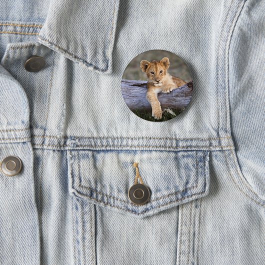 Niedliche Kleintiere | Niedliche Löwengräber Button (Beispiel)
