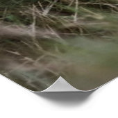 Niedliche Kleintiere | Niedliche Löwengräber Poster (Ecke)