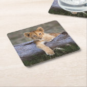 Niedliche Kleintiere | Niedliche Löwengräber Rechteckiger Pappuntersetzer (angewinkelt)