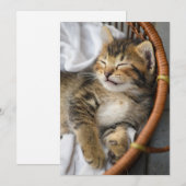 Niedliche Kleintiere | Niedlicher Tabby Cat Sleepi Dankeskarte (Vorne/Hinten)