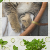 Niedliche Kleintiere | Niedlicher Tabby Cat Sleepi Geschirrtuch (Gefaltet)