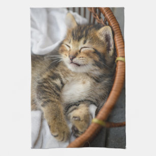 Niedliche Kleintiere Niedlicher Tabby Cat Sleepi Geschirrtuch