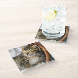 Niedliche Kleintiere Niedlicher Tabby Cat Sleepi Glasuntersetzer