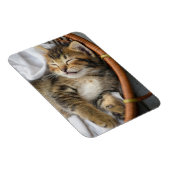 Niedliche Kleintiere | Niedlicher Tabby Cat Sleepi Magnet (Rechte Seite)