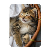 Niedliche Kleintiere | Niedlicher Tabby Cat Sleepi Magnet (Vertikal)