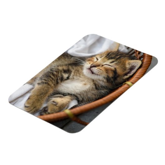 Niedliche Kleintiere | Niedlicher Tabby Cat Sleepi Magnet (Linke Seite)
