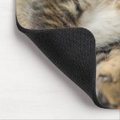 Niedliche Kleintiere | Niedlicher Tabby Cat Sleepi Mousepad (Ecke)