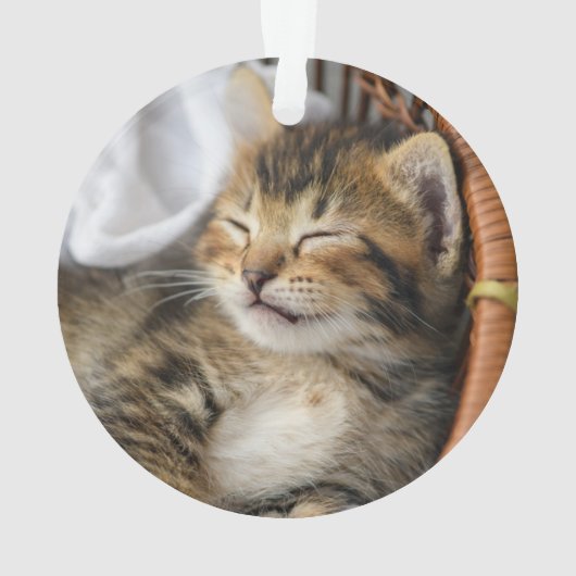 Niedliche Kleintiere | Niedlicher Tabby Cat Sleepi Ornament (Rückseite)